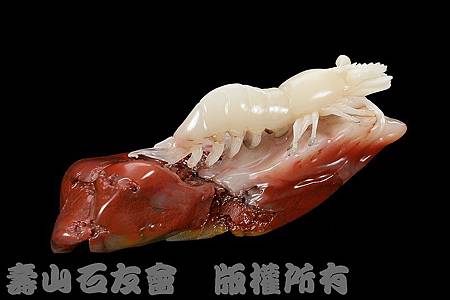 C0390_壽山石_杜陵桃花_白蝦 C0390_壽山石_杜陵桃花_白蝦