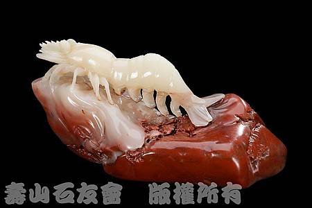 C0390e_壽山石_杜陵桃花_白蝦 C0390e_壽山石_杜陵桃花_白蝦