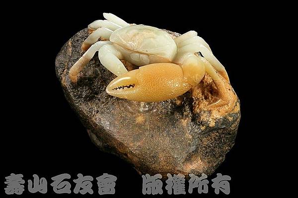 C1881_壽山石_仙遊_招潮蟹