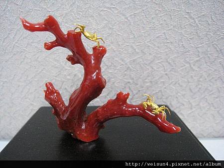 C0700_金雕_珊瑚上的螃蟹(吳卿) C0700_金雕_珊瑚上的螃蟹(吳卿)