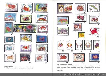 蟹-stamp-5 蟹-stamp-5
