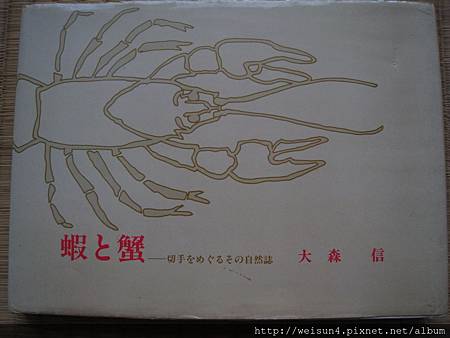 蝦と蟹 蝦と蟹