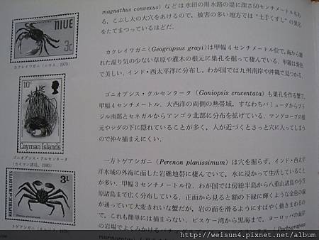 蝦と蟹-4 蝦と蟹-4