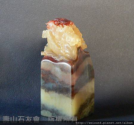 C0777_壽山石_高山_白菜雙蟹情(馮志霖) C0777_壽山石_高山_白菜雙蟹情(馮志霖)