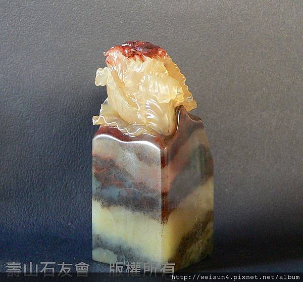 C0777_壽山石_高山_白菜雙蟹情(馮志霖) C0777_壽山石_高山_白菜雙蟹情(馮志霖)