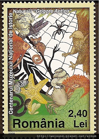 C6-08_C1261_生物多樣性