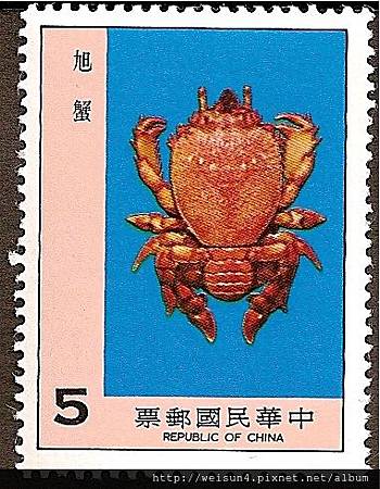03-03_C0109_01_蛙蟹科_蛙形蟹 03-03_C0109_01_蛙蟹科_蛙形蟹