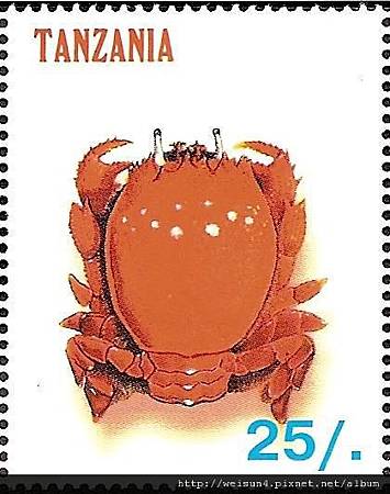 03-05_C1173_01_蛙蟹科_蛙形蟹 03-05_C1173_01_蛙蟹科_蛙形蟹