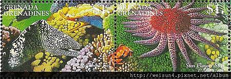 09-09_C1231_瓢蟹科_珊瑚瓢蟹 09-09_C1231_瓢蟹科_珊瑚瓢蟹