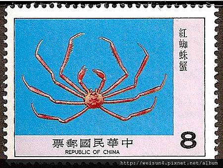 18-08_C0109-03_尖頭蟹科_阿氏扁蛛蟹 18-08_C0109-03_尖頭蟹科_阿氏扁蛛蟹
