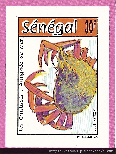 19-05_C0662-01_蜘蛛蟹科_合團蜘蛛蟹