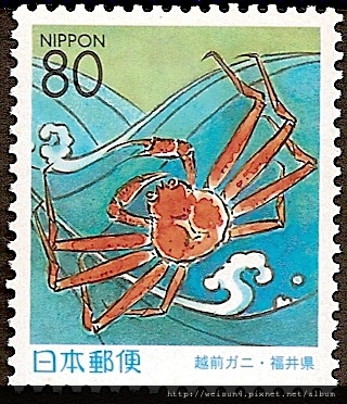 20-04_C0349_突眼蟹科_牧人魁蟹 20-04_C0349_突眼蟹科_牧人魁蟹