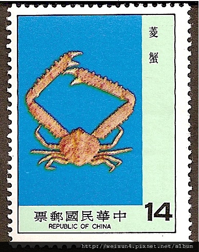 22-01_C0109-04_菱蟹科_長手菱蟹 22-01_C0109-04_菱蟹科_長手菱蟹