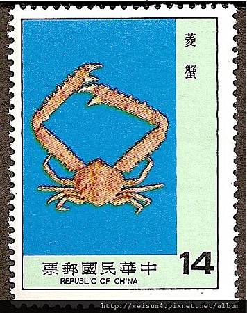22-01_C0109-04_菱蟹科_長手菱蟹 22-01_C0109-04_菱蟹科_長手菱蟹