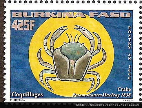 27-01_C1379_仿溪蟹科_仿溪蟹