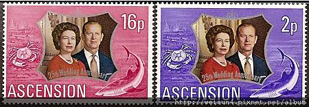 32-24_C1066_地蟹科_寬身強蓋蟹 32-24_C1066_地蟹科_寬身強蓋蟹