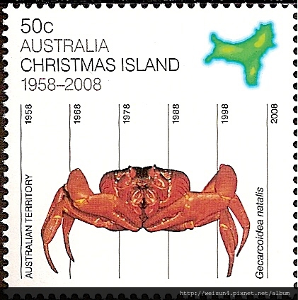 32-47_C1245_地蟹科_聖誕島地蟹 32-47_C1245_地蟹科_聖誕島地蟹