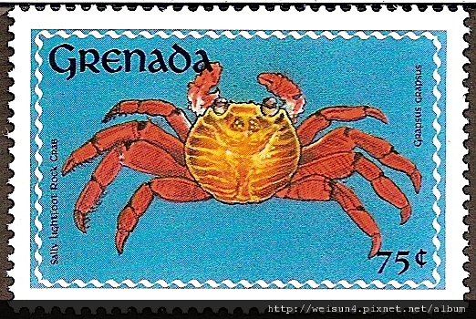 33-17_C0176-02_方蟹科_方蟹