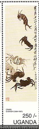 36-04_C0540_弓蟹科_中華絨螯蟹 36-04_C0540_弓蟹科_中華絨螯蟹