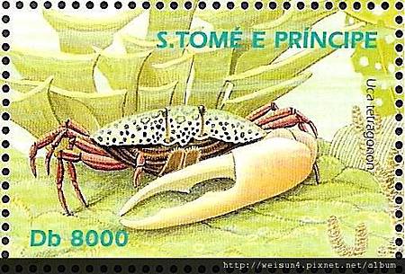 38-34_C0497-03_沙蟹科_四角招潮 38-34_C0497-03_沙蟹科_四角招潮