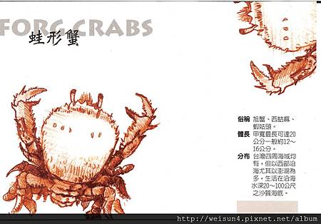 C0210_明信片_蛙形蟹 C0210_明信片_蛙形蟹