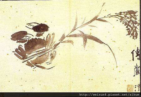 C1812h_明信片_國畫_花卉圖冊之五_傳蘆_徐渭 C1812h_明信片_國畫_花卉圖冊之五_傳蘆_徐渭