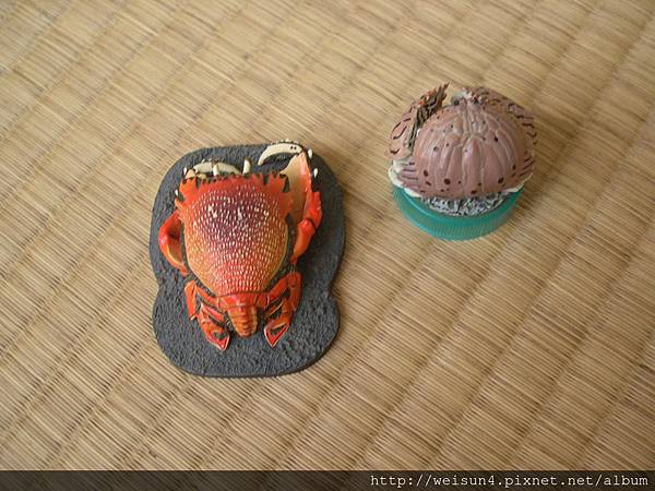 蛙形蟹+捲折饅頭蟹 蛙形蟹+捲折饅頭蟹