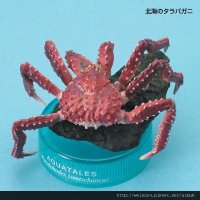 410_C0629_活跳跳的帝王蟹_物產展5彈 410_C0629_活跳跳的帝王蟹_物產展5彈
