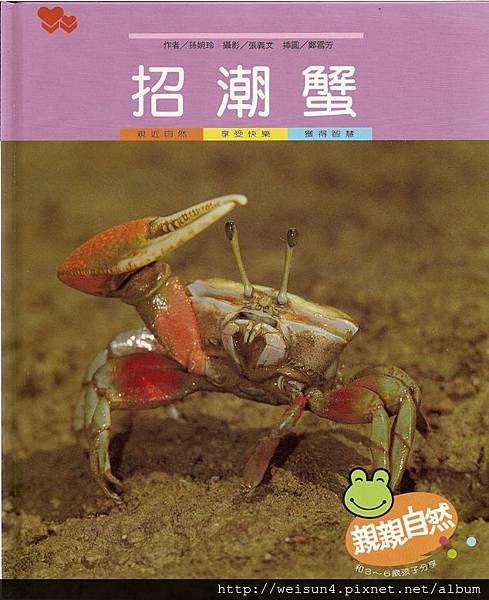 C0392_招潮蟹_孫婉玲