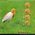 C0530_高美濕地生態之美_牛罵頭文化協進會