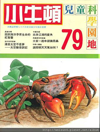 C1705_小牛頓-79_回到海洋孕育生命的紅螯蟹 C1705_小牛頓-79_回到海洋孕育生命的紅螯蟹