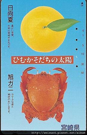 030_C1536_蛙蟹科_蛙形蟹 030_C1536_蛙蟹科_蛙形蟹
