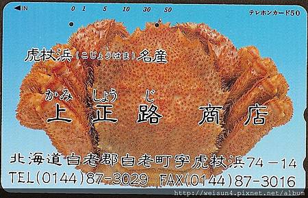 070_C1537_近圓蟹科_伊氏毛甲蟹 070_C1537_近圓蟹科_伊氏毛甲蟹