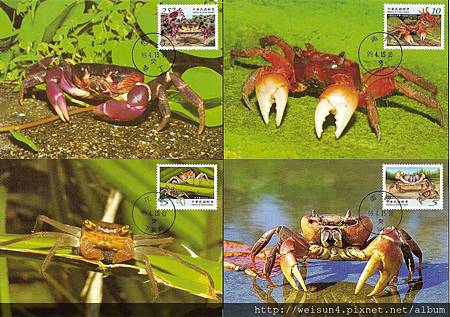 C1546_中華民國2010_原圖卡 C1546_中華民國2010_原圖卡