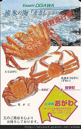 200_C1613_突眼蟹科_牧人魁蟹 200_C1613_突眼蟹科_牧人魁蟹