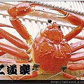 200_C1506_突眼蟹科_牧人魁蟹
