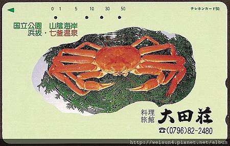 200_C1569_突眼蟹科_牧人魁蟹 200_C1569_突眼蟹科_牧人魁蟹