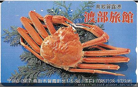 200_C1589_突眼蟹科_牧人魁蟹 200_C1589_突眼蟹科_牧人魁蟹