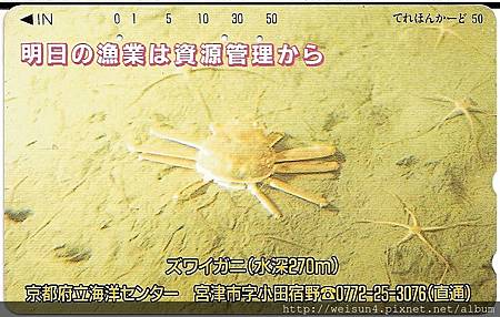 200_C1591_突眼蟹科_牧人魁蟹 200_C1591_突眼蟹科_牧人魁蟹