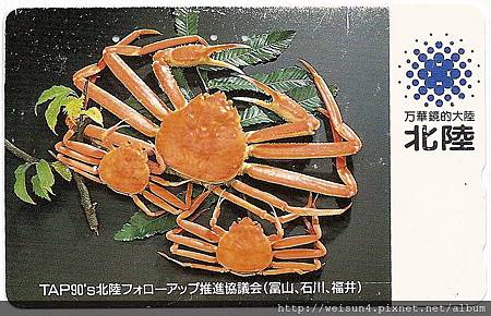 200_C1610_突眼蟹科_牧人魁蟹 200_C1610_突眼蟹科_牧人魁蟹