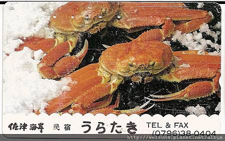 200_C1611_突眼蟹科_牧人魁蟹 200_C1611_突眼蟹科_牧人魁蟹
