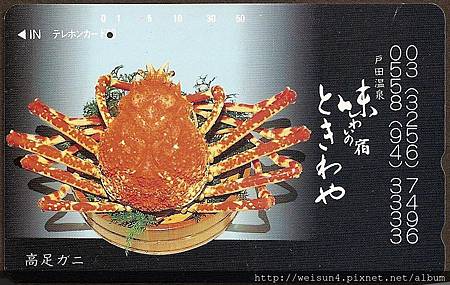 180_C1453_尖頭蟹科_甘氏巨螯蟹 180_C1453_尖頭蟹科_甘氏巨螯蟹