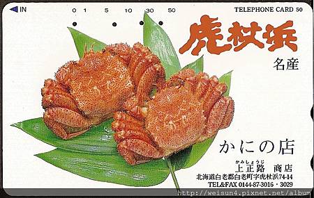 070_C1532_近圓蟹科_伊氏毛甲蟹 070_C1532_近圓蟹科_伊氏毛甲蟹