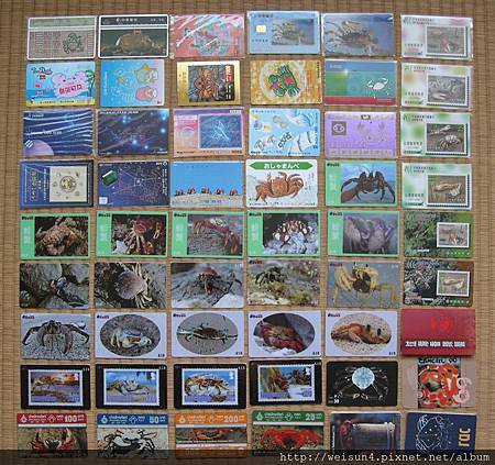 card_螃蟹卡片_200711 card_螃蟹卡片_200711
