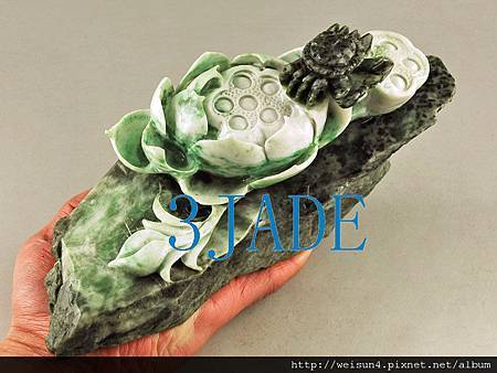 C1620_緬甸玉_巧色荷蟹擺件_4 C1620_緬甸玉_巧色荷蟹擺件_4