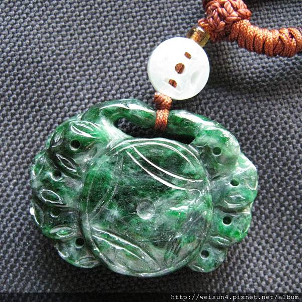 C0872_緬甸鐵龍生_螃蟹_2