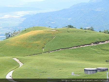 DSCN0659_六十石山_金針花 DSCN0659_六十石山_金針花