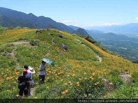 DSCN0666_六十石山_金針花 DSCN0666_六十石山_金針花