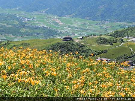 DSCN0678_六十石山_金針花+花東縱谷 DSCN0678_六十石山_金針花+花東縱谷