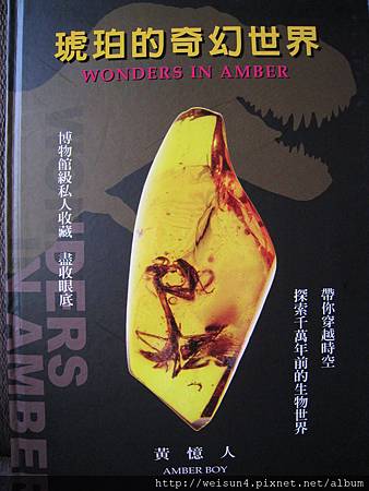 琥珀的奇幻世界 琥珀的奇幻世界